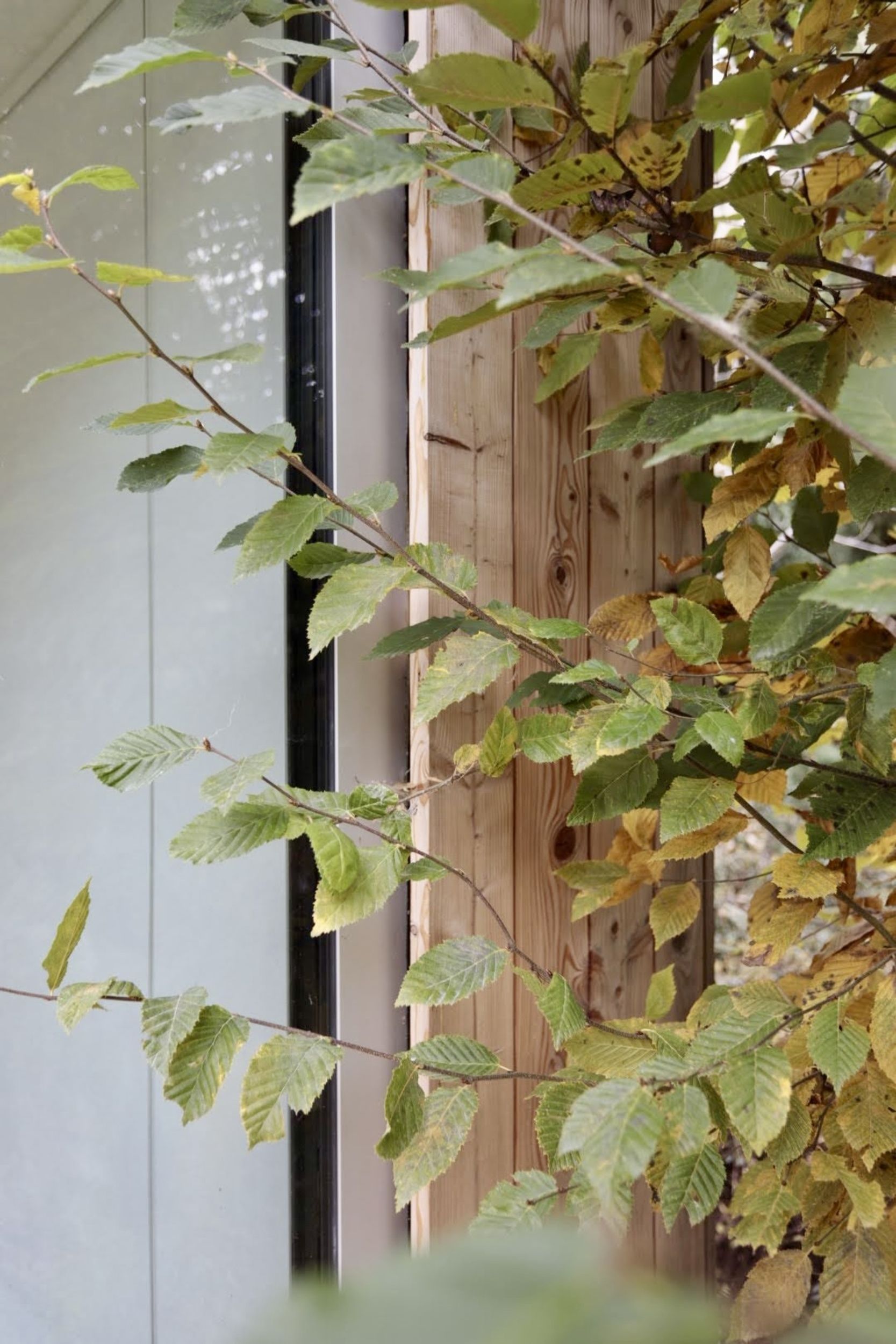 Rodinný dům Kamenice