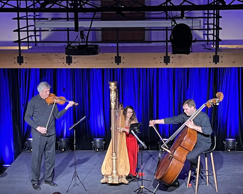 koncert: Slon v opeře